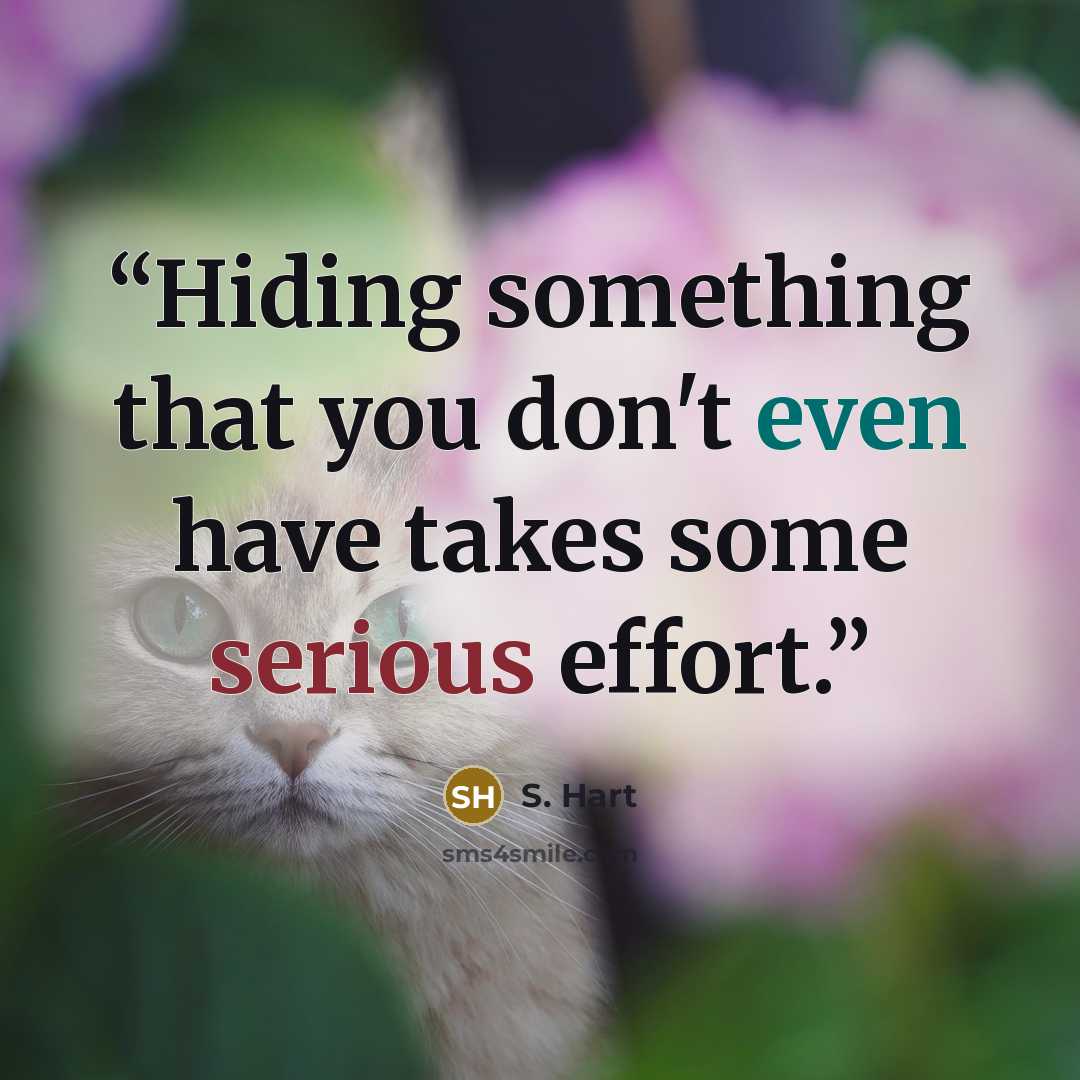 “Hiding something that you don't even have takes some serious effort.” quote by S. Hart