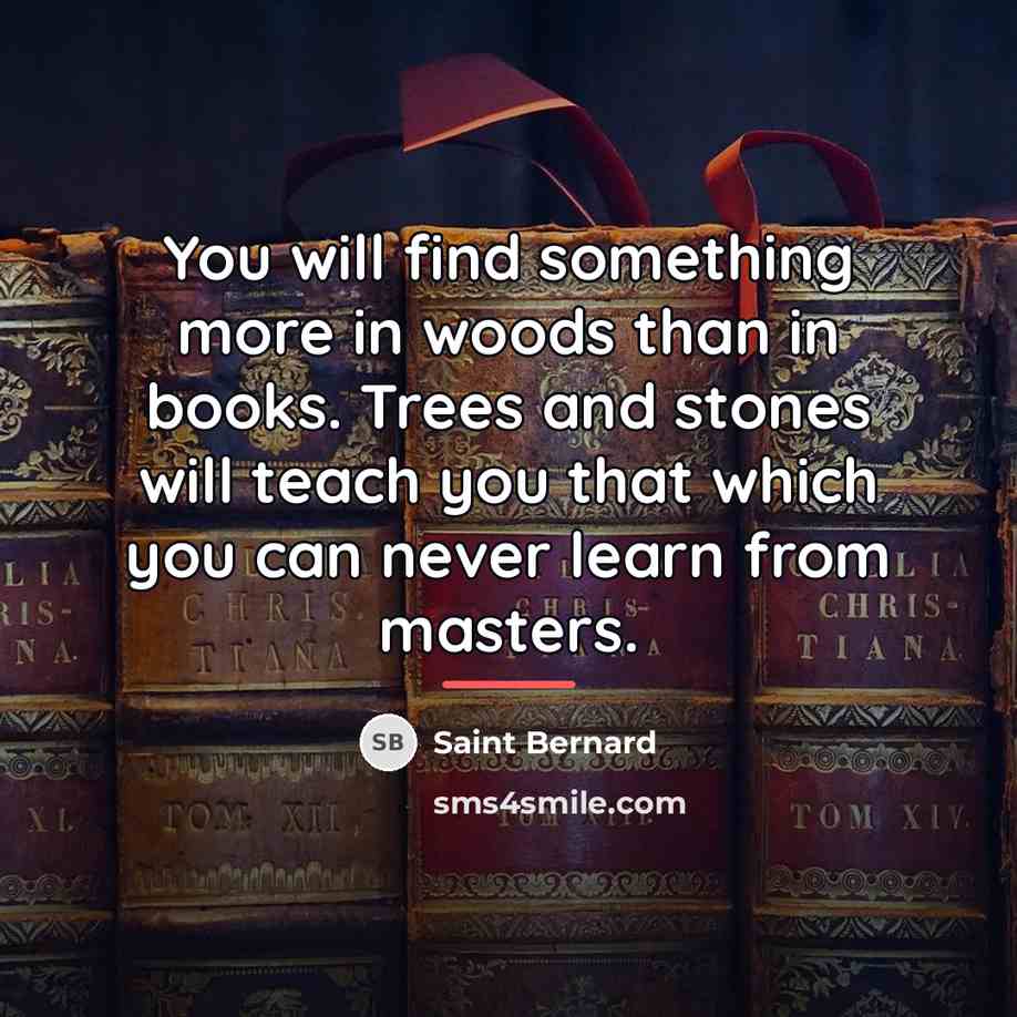 “You will find something more in woods than in books.…” quote by Saint Bernard