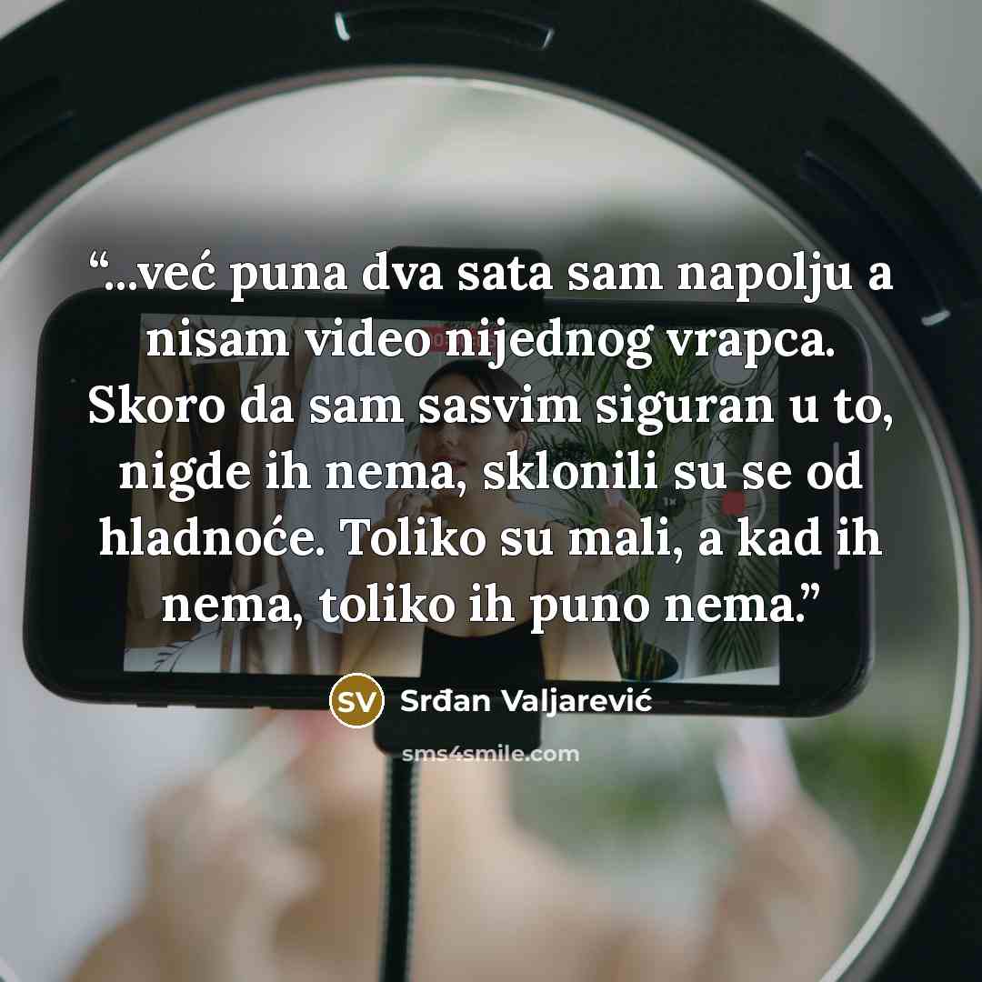 “...već puna dva sata sam napolju a nisam video nijednog vrapca. Skoro da sam sasvim siguran u to, nigde ih nema, sklonili su se od hladnoće. Toliko su mali, a kad ih nema, toliko ih puno nema.” quote by Srđan Valjarević