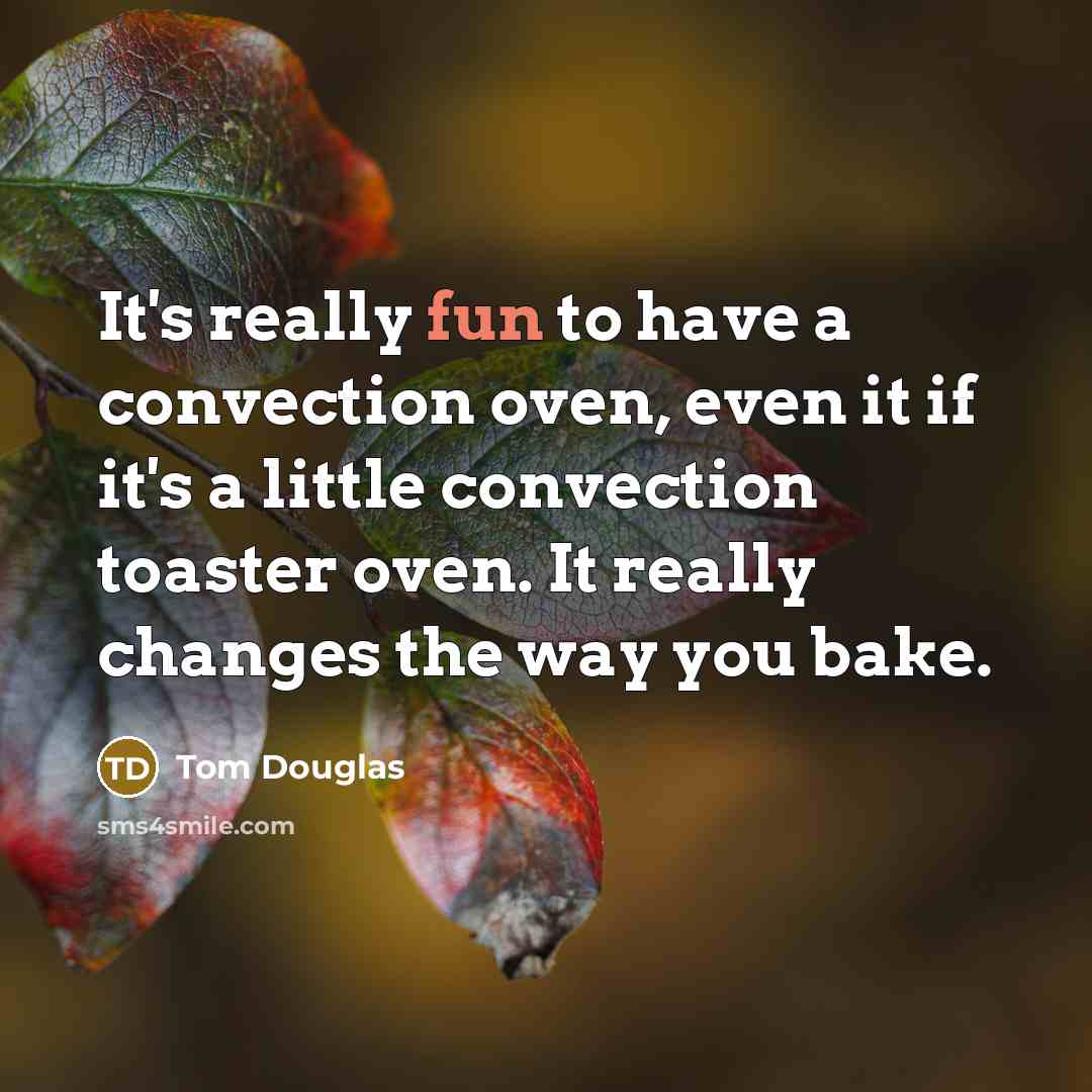 “It's really fun to have a convection oven, even it…” quote by Tom Douglas
