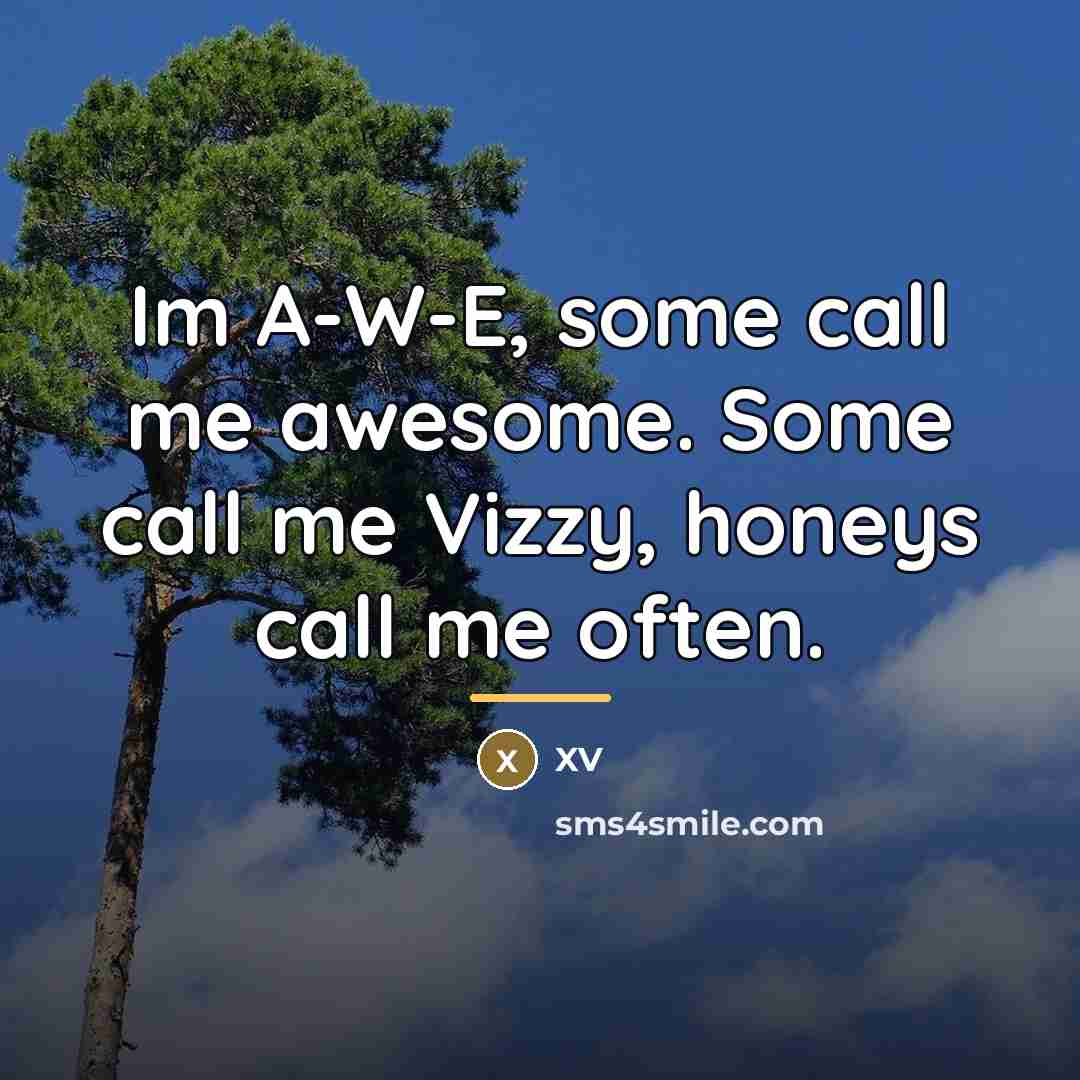 “Im A-W-E, some call me awesome. Some call me Vizzy,…” quote by XV