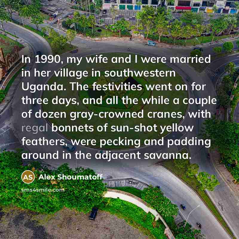 “In 1990, my wife and I were married in her…” quote by Alex Shoumatoff