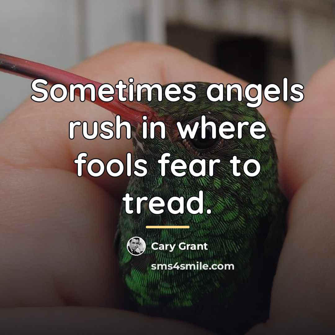 “Sometimes angels rush in where fools fear to tread.…” quote by Cary Grant