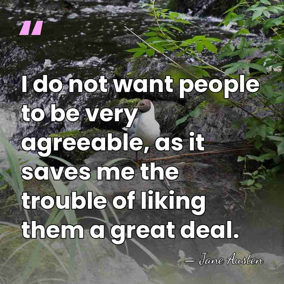 I do not want people to be very agreeable, as it saves&hellip; - Jane Austen