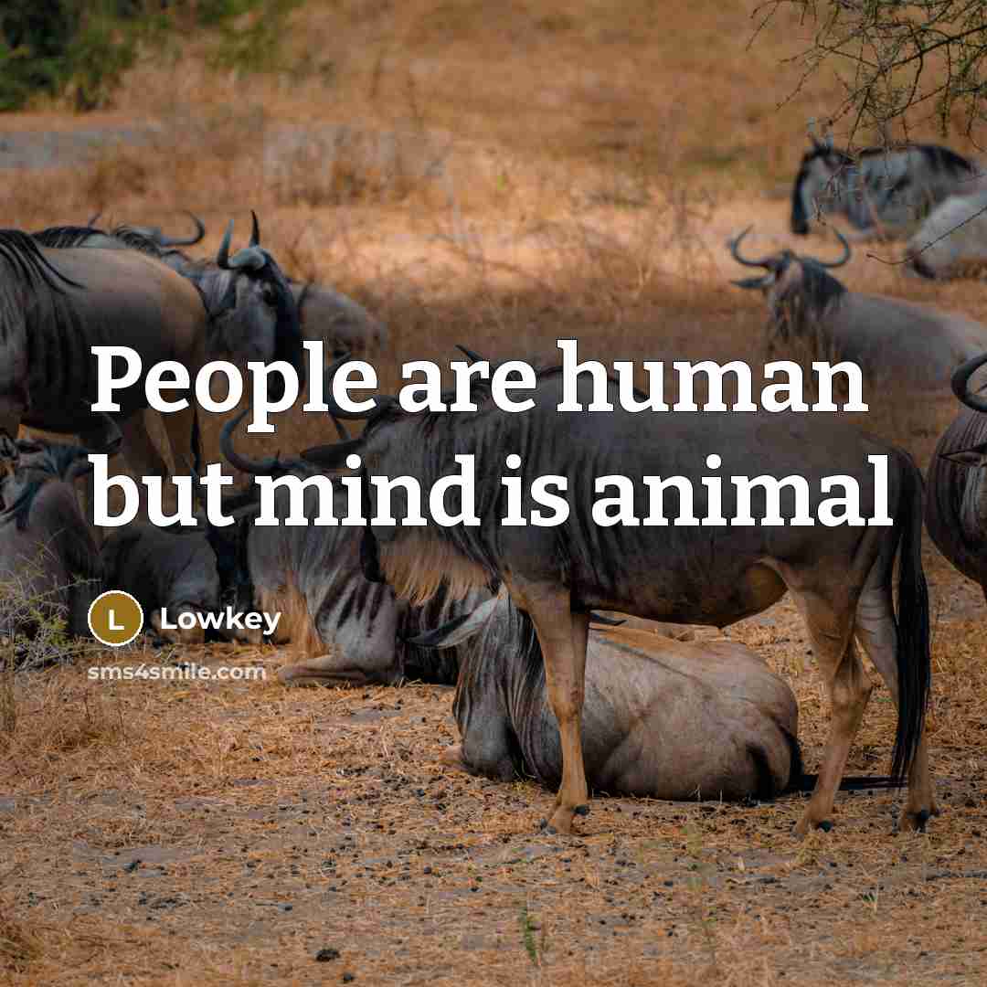 “People are human but mind is animal…” quote by Lowkey