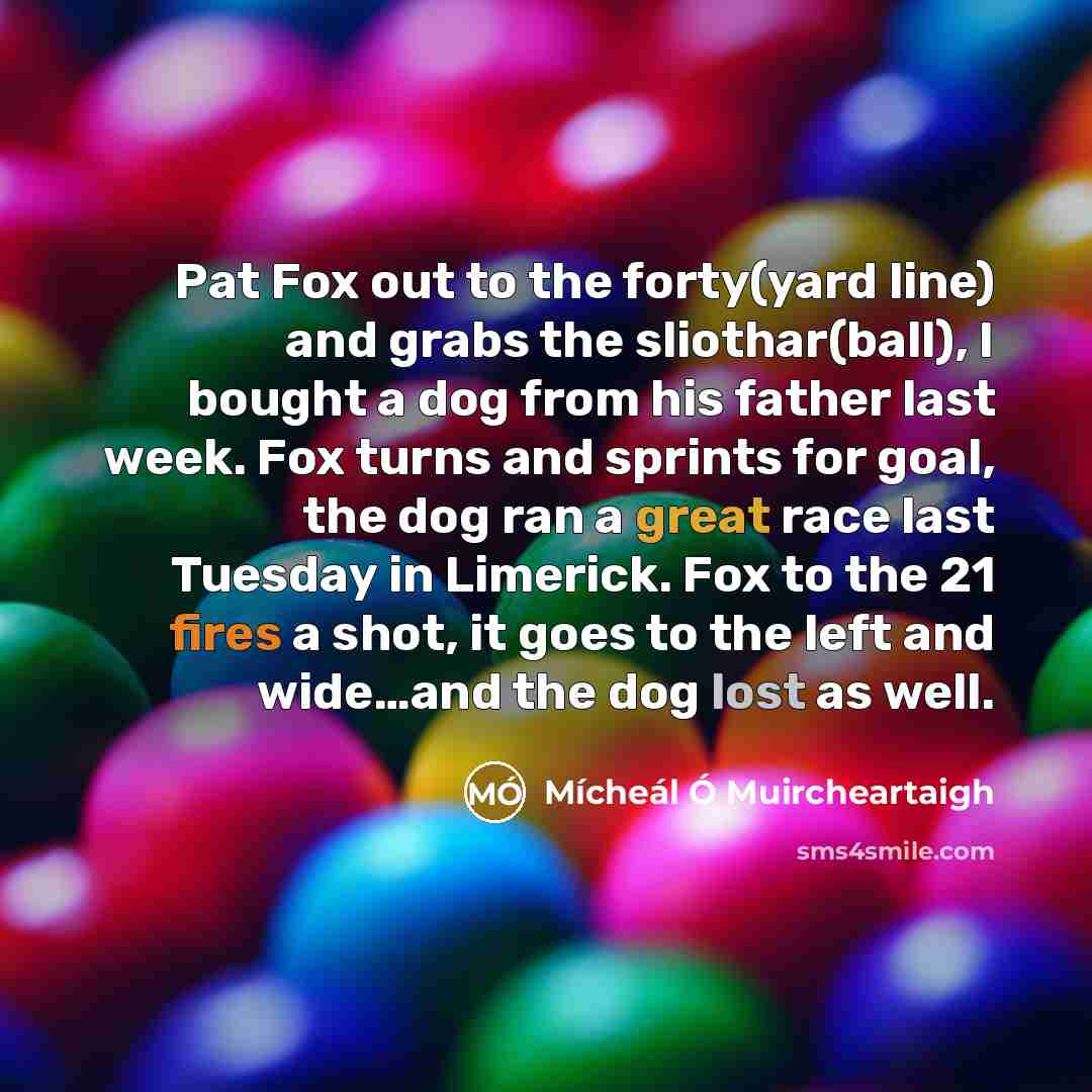 “Pat Fox out to the forty(yard line) and grabs the…” quote by Micheal O Muircheartaigh