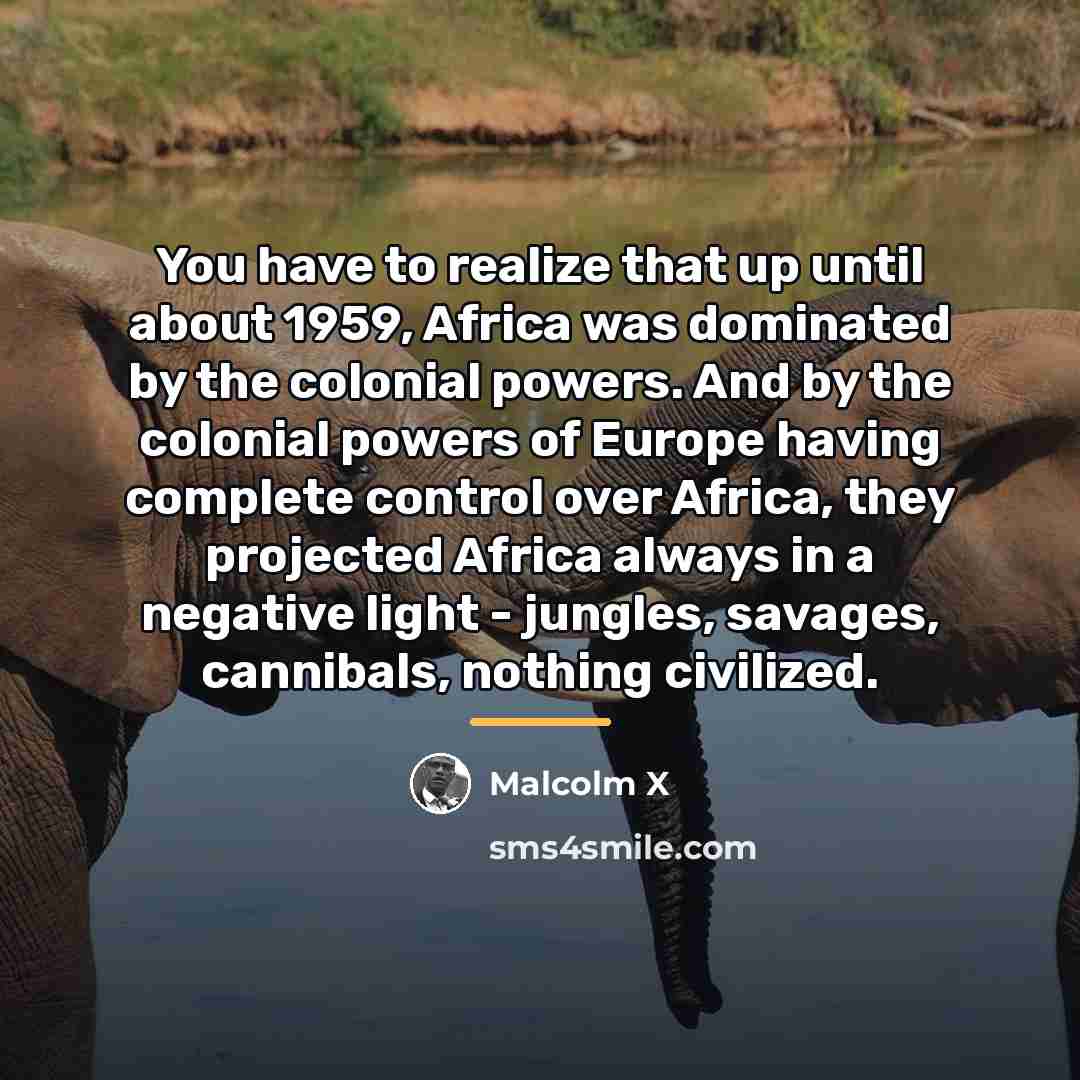 “You have to realize that up until about 1959, Africa…” quote by Malcolm X