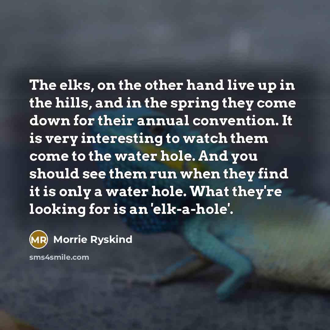 “The elks, on the other hand live up in the…” quote by Morrie Ryskind