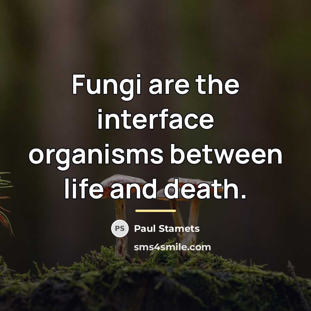 “Fungi are the interface organisms between life and death.…” quote by Paul Stamets