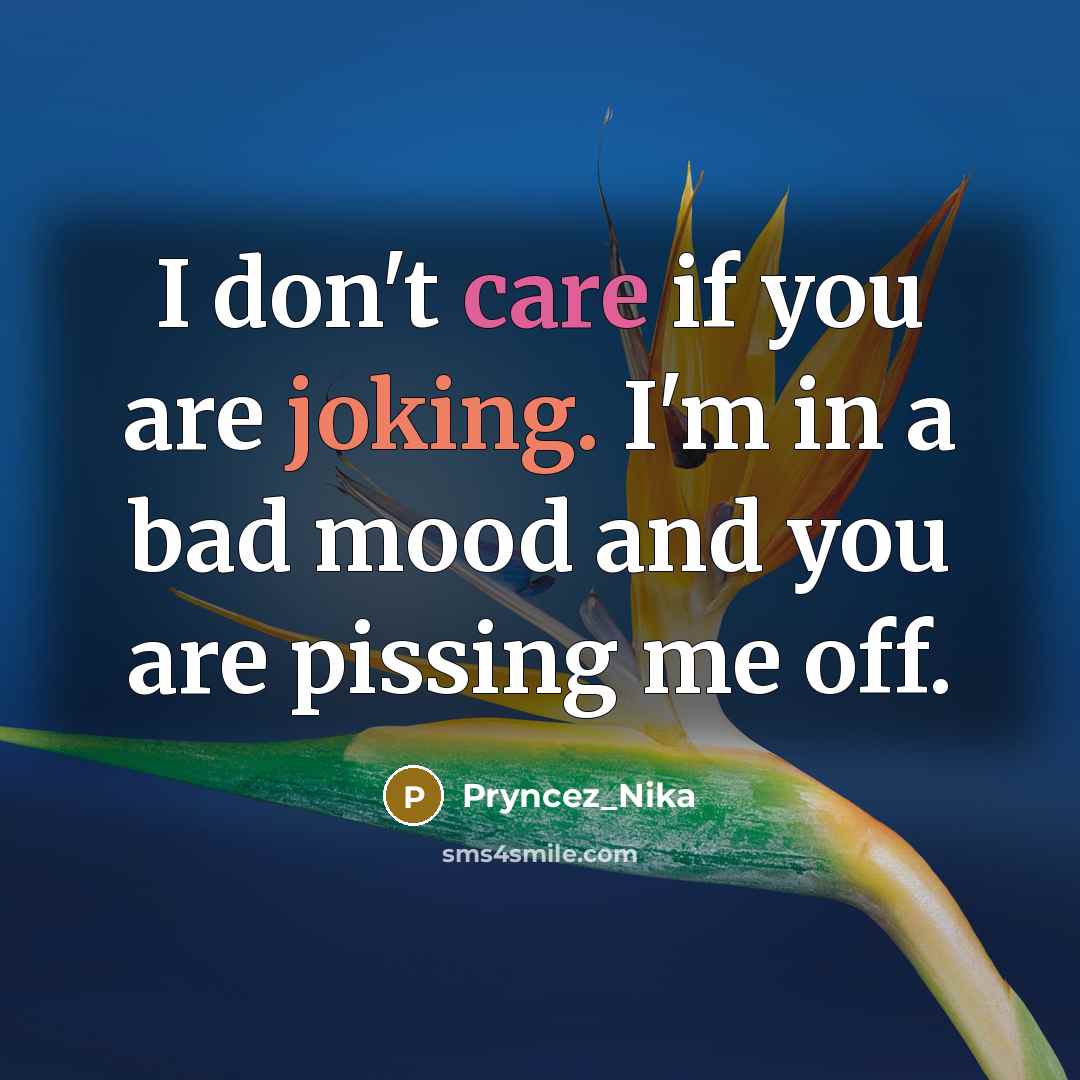 “I don't care if you are joking. I'm in a…” quote by Pryncez_Nika