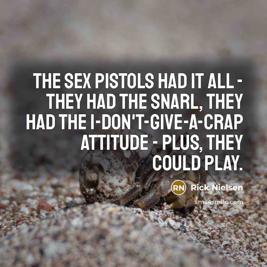 “The Sex Pistols had it all - they had the…” quote by Rick Nielsen