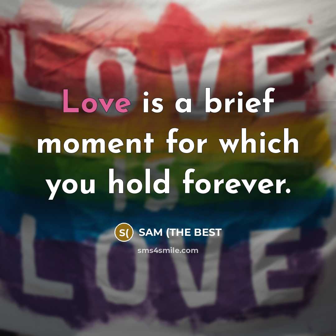 “Love is a brief moment for which you hold forever.…” quote by SAM (THE BEST