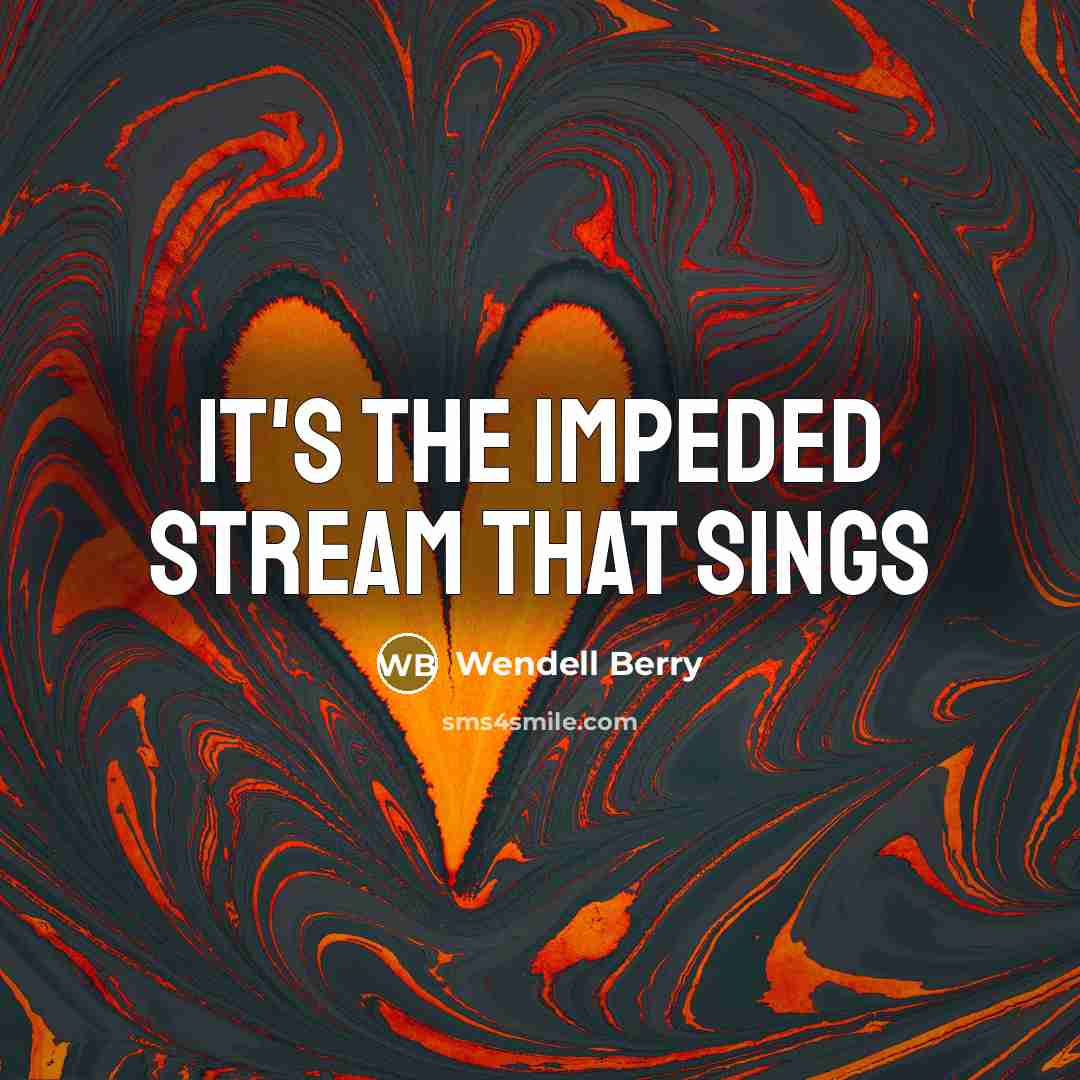 “It's the impeded stream that sings…” quote by Wendell Berry