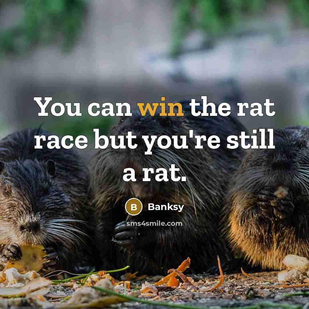 “You can win the rat race but you're still a…” quote by Banksy