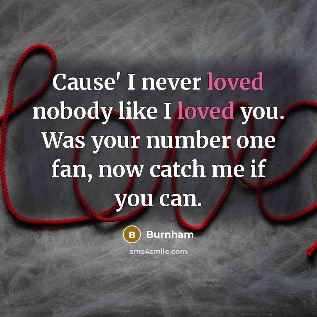 “Cause' I never loved nobody like I loved you. Was your number one fan, now catch me if you can.” quote by Burnham