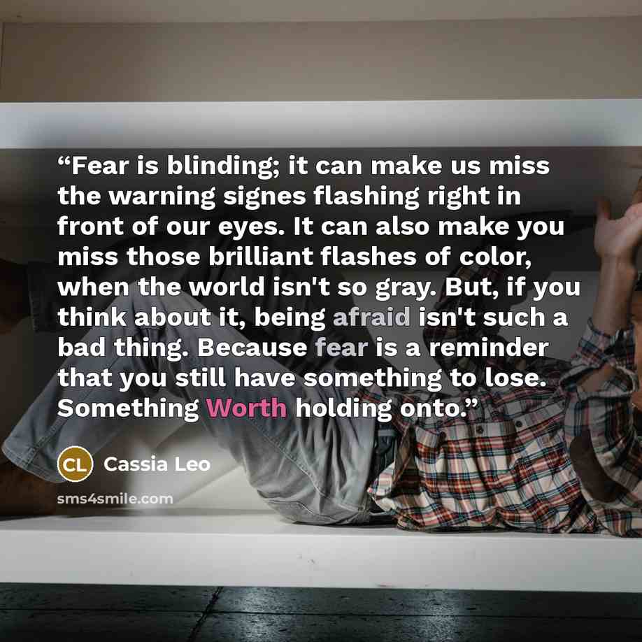 “Fear is blinding; it can make us miss the warning signes flashing right in front of our eyes. It can also make you miss those brilliant flashes of color, when the world isn't so gray. But, if you think about it, being afraid isn't such a bad thing. Because fear is a reminder that you still have…” quote by Cassia Leo