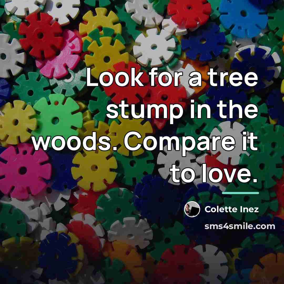 “Look for a tree stump in the woods. Compare it…” quote by Colette Inez