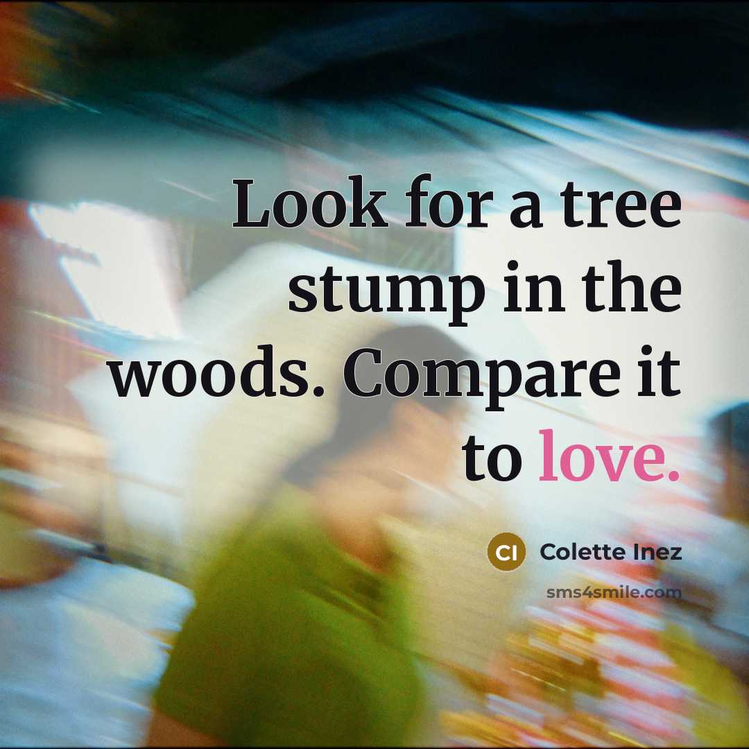 “Look for a tree stump in the woods. Compare it to love.” quote by Colette Inez