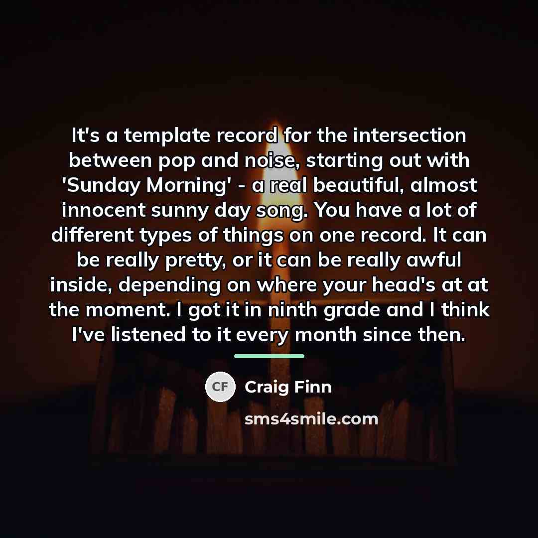 “It's a template record for the intersection between pop and…” quote by Craig Finn