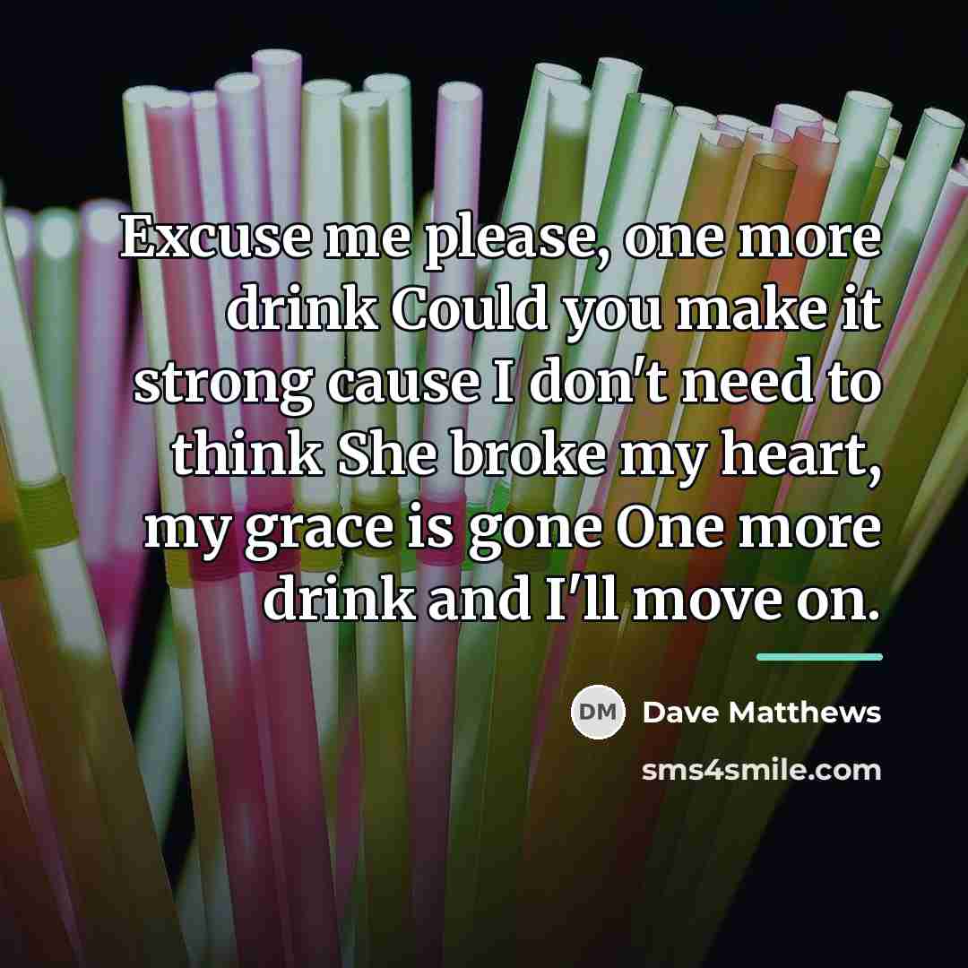 “Excuse me please, one more drink Could you make it…” quote by Dave Matthews