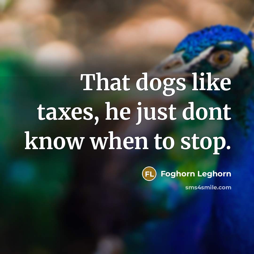 “That dogs like taxes, he just dont know when to stop.” quote by Foghorn Leghorn