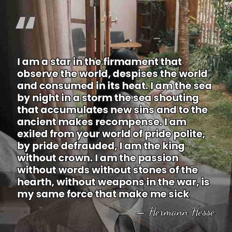 I am a star in the firmament that observe the world, despises&hellip; - Hermann Hesse