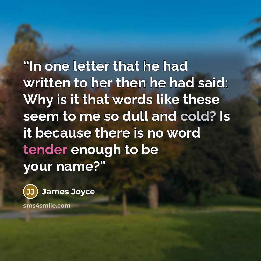 “In one letter that he had written to her then he had said: Why is it that words like these seem to me so dull and cold? Is it because there is no word tender enough to be your name?” quote by James Joyce