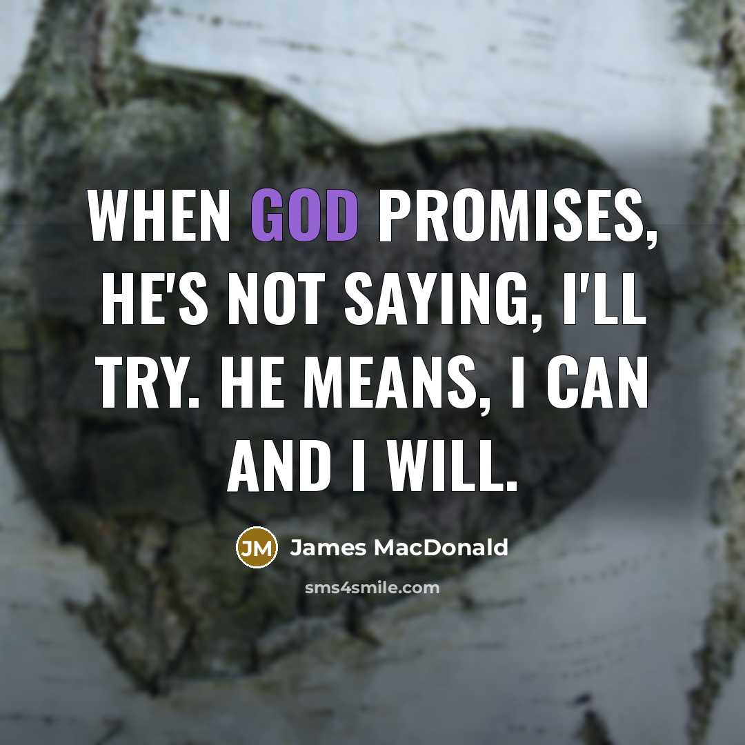 “When God promises, He's not saying, I'll try. He means,…” quote by James MacDonald