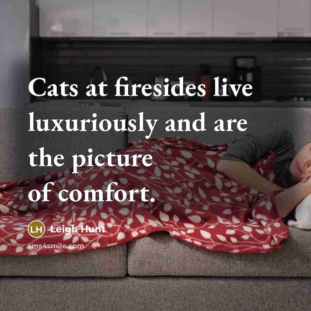 “Cats at firesides live luxuriously and are the picture of…” quote by Leigh Hunt
