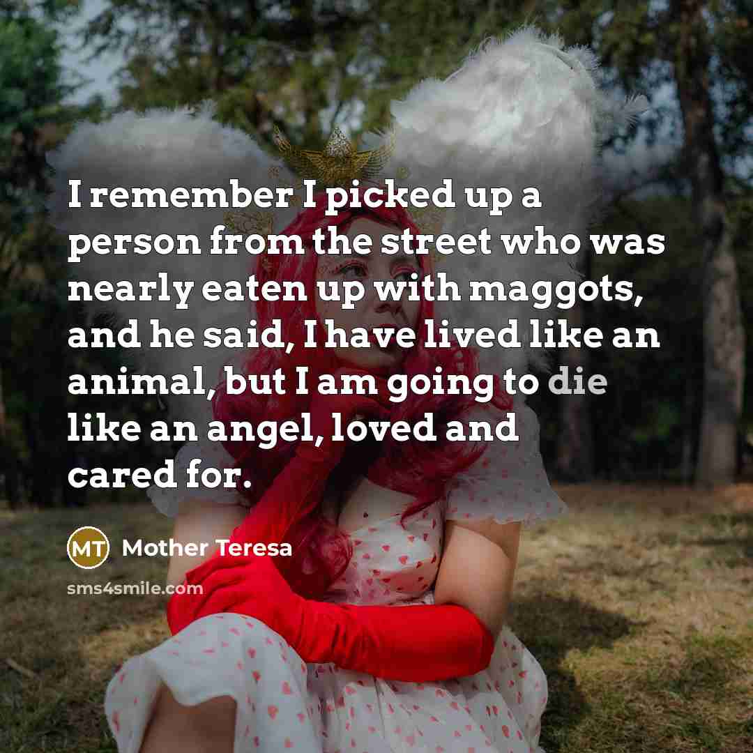 “I remember I picked up a person from the street…” quote by Mother Teresa
