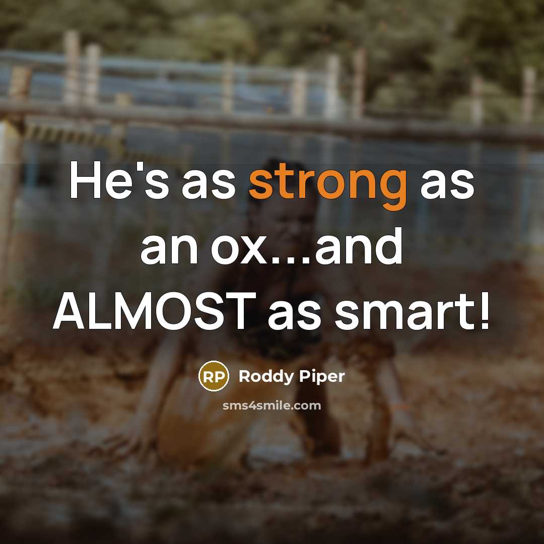 “He's as strong as an ox...and ALMOST as smart!…” quote by Roddy Piper