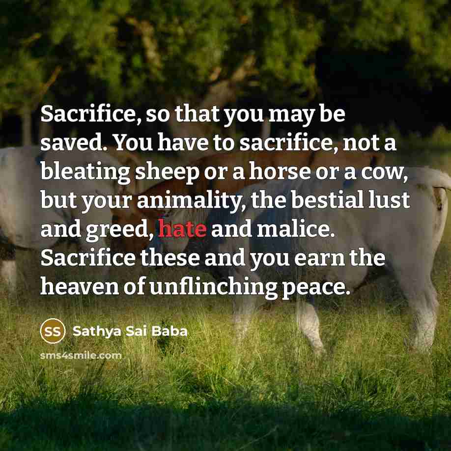 “Sacrifice, so that you may be saved. You have to…” quote by Sathya Sai Baba