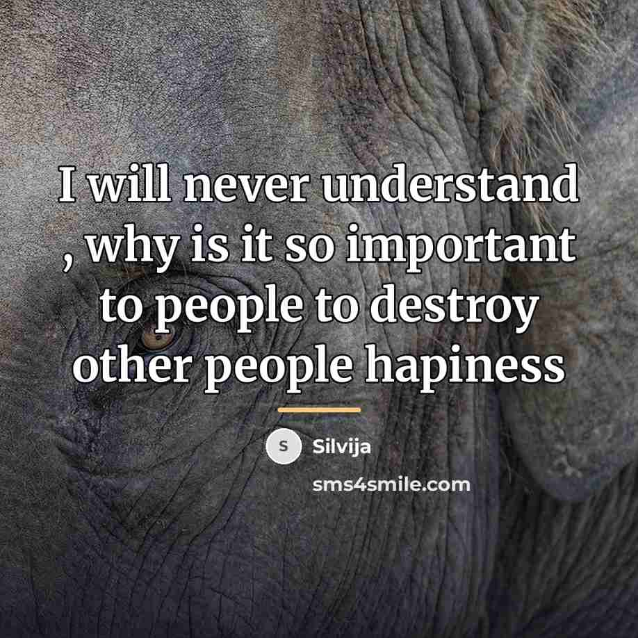 “I will never understand , why is it so important…” quote by Silvija