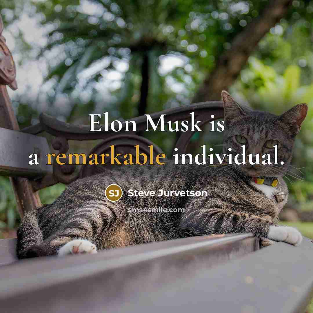“Elon Musk is a remarkable individual.…” quote by Steve Jurvetson