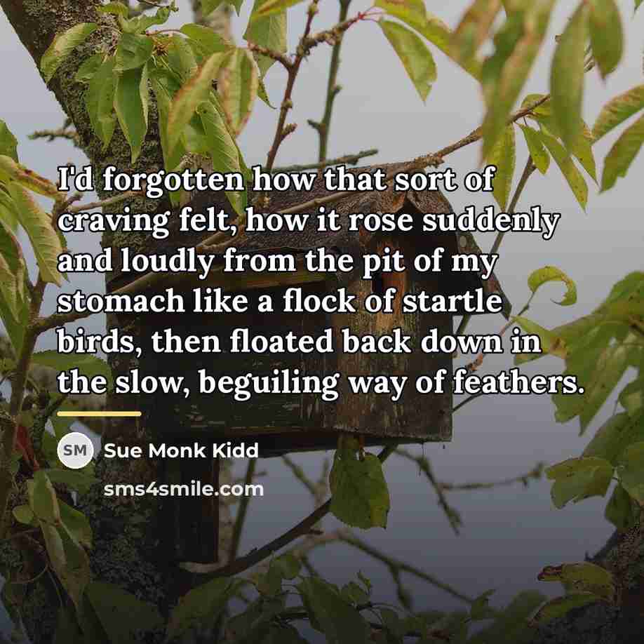 “I'd forgotten how that sort of craving felt, how it…” quote by Sue Monk Kidd