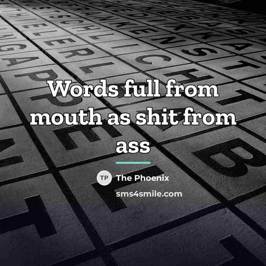 “Words full from mouth as shit from ass…” quote by The Phoenix
