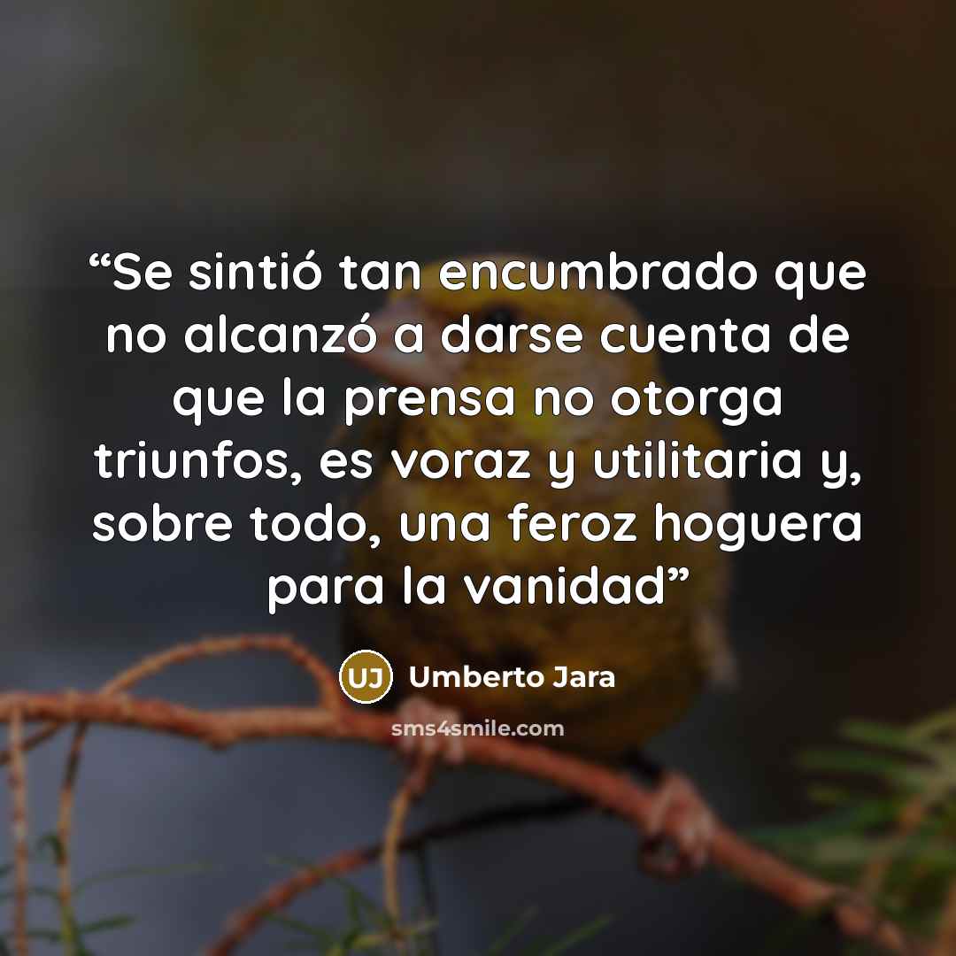“Se sintió tan encumbrado que no alcanzó a darse cuenta de que la prensa no otorga triunfos, es voraz y utilitaria y, sobre todo, una feroz hoguera para la vanidad” quote by Umberto Jara