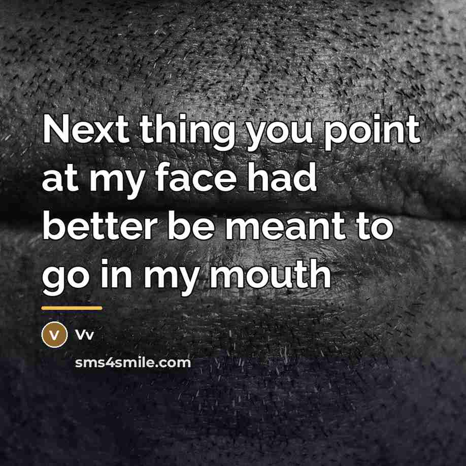 “Next thing you point at my face had better be…” quote by Vv