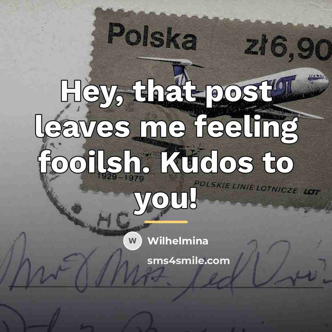 “Hey, that post leaves me feeling fooilsh. Kudos to you!…” quote by Wilhelmina
