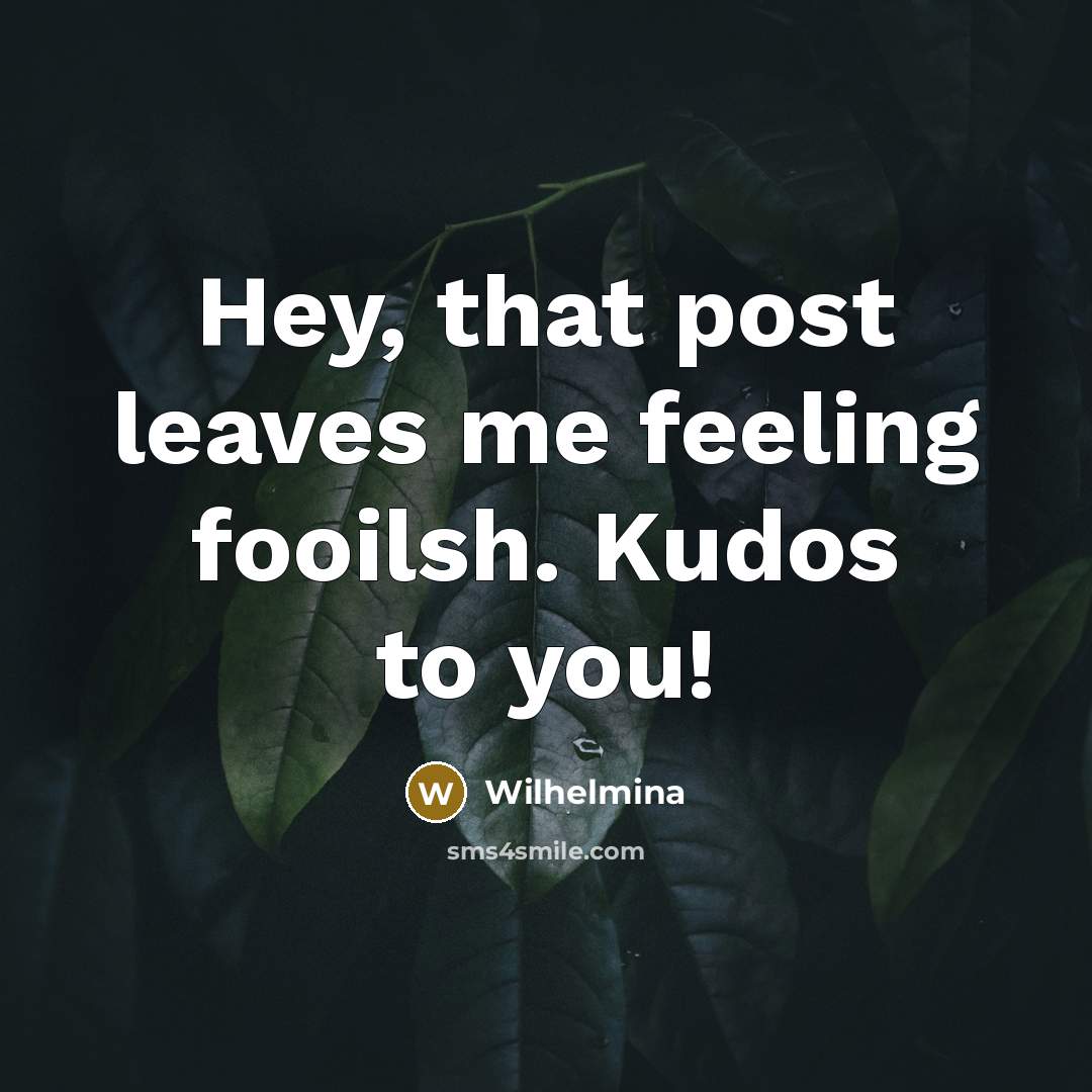 “Hey, that post leaves me feeling fooilsh. Kudos to you!” quote by Wilhelmina
