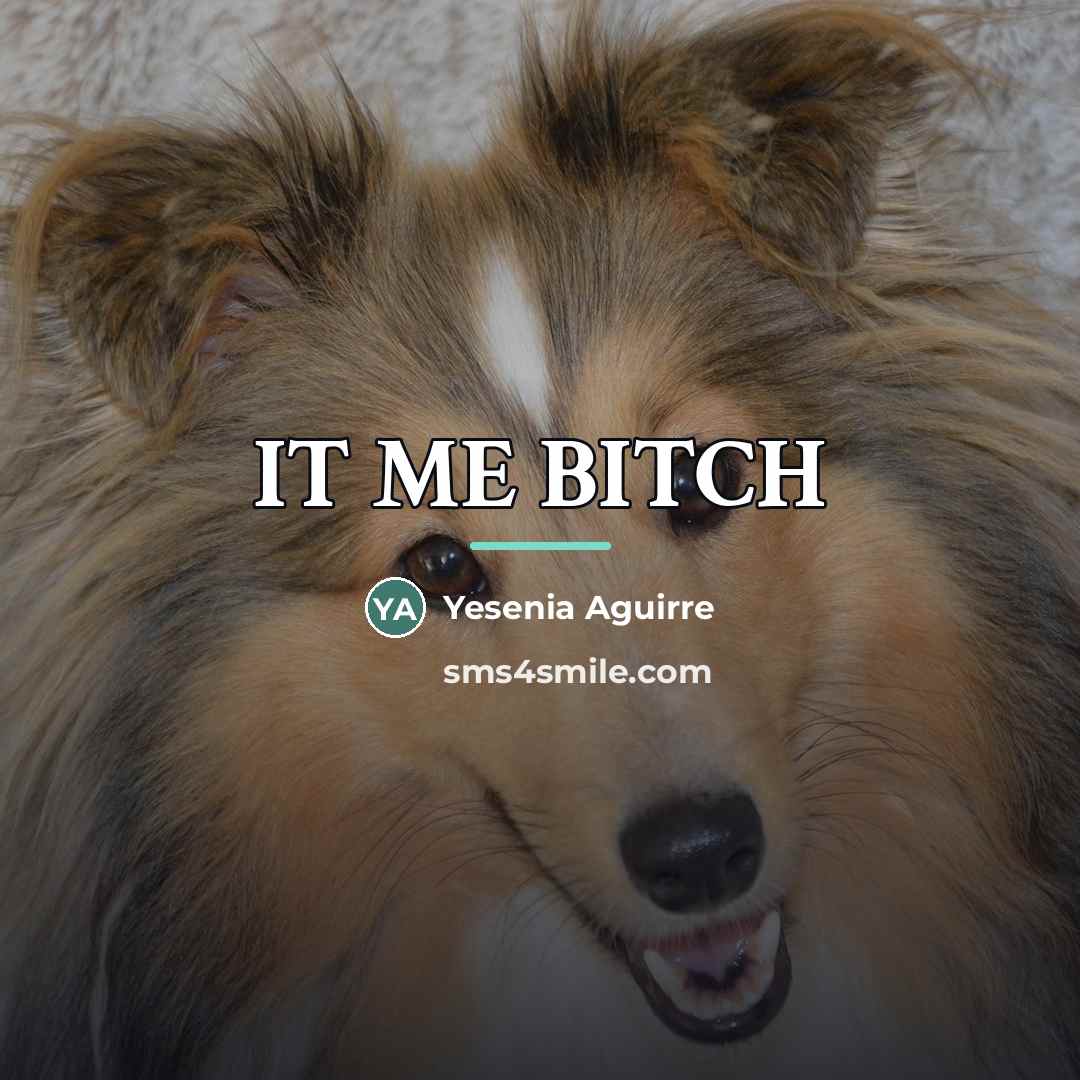 “IT ME BITCH…” quote by Yesenia Aguirre