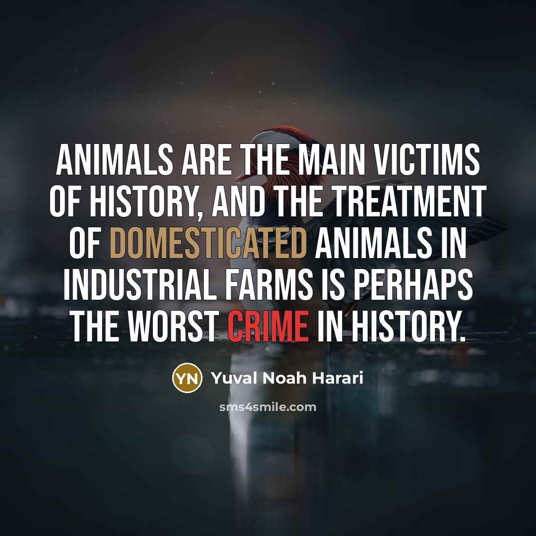 “Animals are the main victims of history, and the treatment of domesticated animals in industrial farms is perhaps the worst crime in history.” quote by Yuval Noah Harari