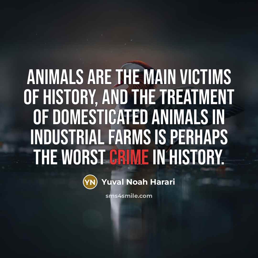 “Animals are the main victims of history, and the treatment…” quote by Yuval Noah Harari
