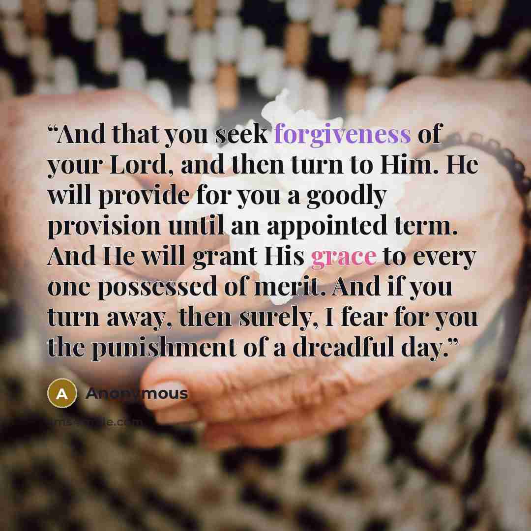“And that you seek forgiveness of your Lord, and then turn to Him. He will provide for you a goodly provision until an appointed term. And He will grant His grace to every one possessed of merit. And if you turn away, then surely, I fear for you the punishment of a dreadful day.” quote by Anonymous
