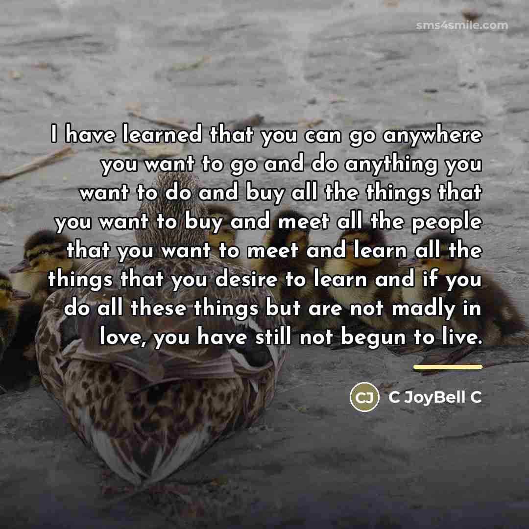“I have learned that you can go anywhere you want…” quote by C JoyBell C