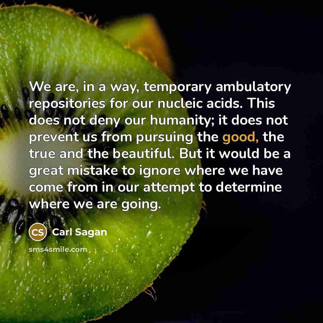 “We are, in a way, temporary ambulatory repositories for our…” quote by Carl Sagan