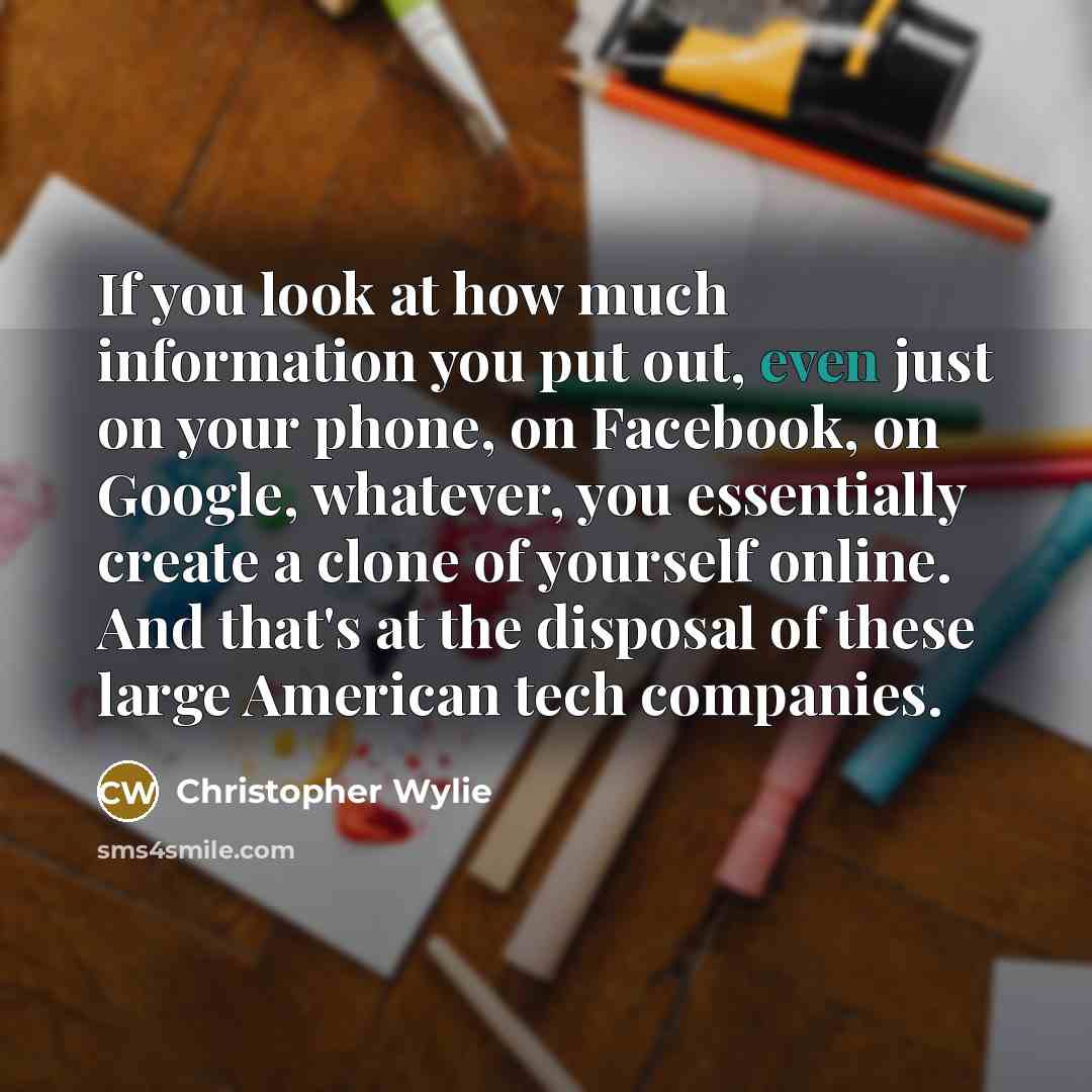 “If you look at how much information you put out,…” quote by Christopher Wylie