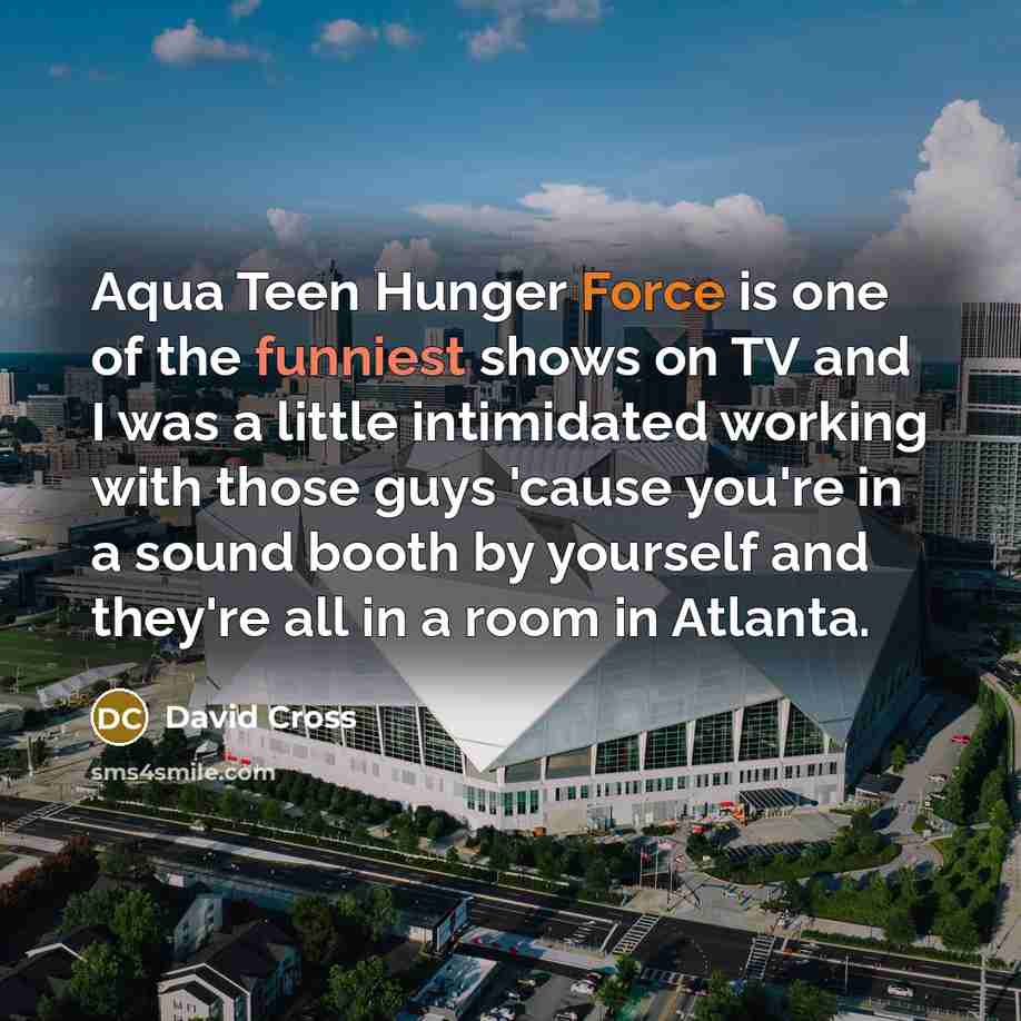 “Aqua Teen Hunger Force is one of the funniest shows…” quote by David Cross