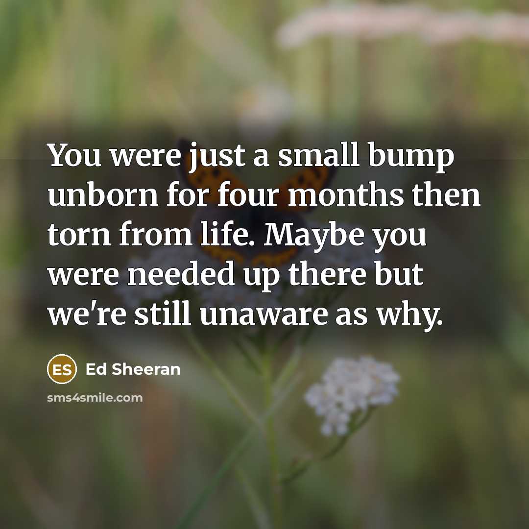 “You were just a small bump unborn for four months…” quote by Ed Sheeran
