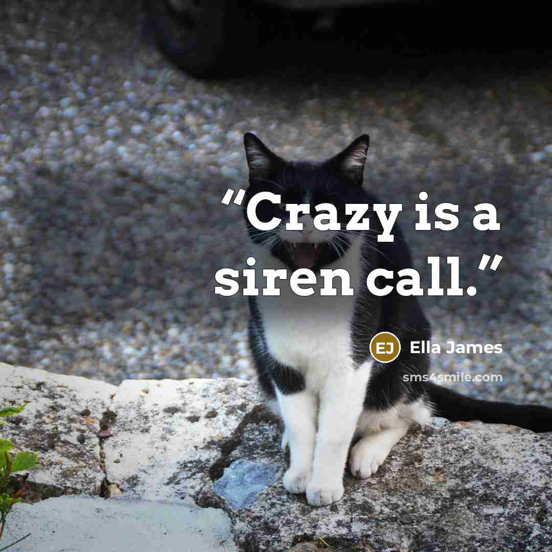 “Crazy is a siren call.” quote by Ella James